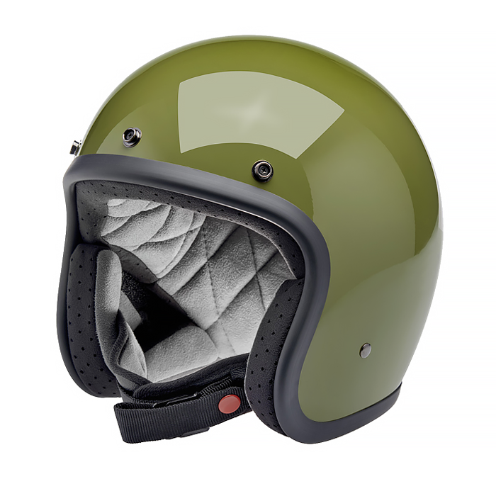 Daisy on the Ohoopee